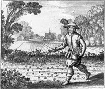 "Sow Your Gold in the White Foliate Earth"