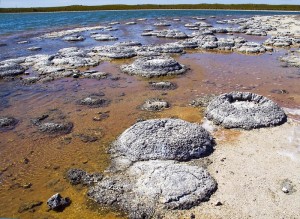 lakethetisstromatolites